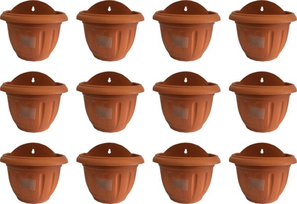 Pack of 12 Gardening Pots for Wall hanging - Image 2