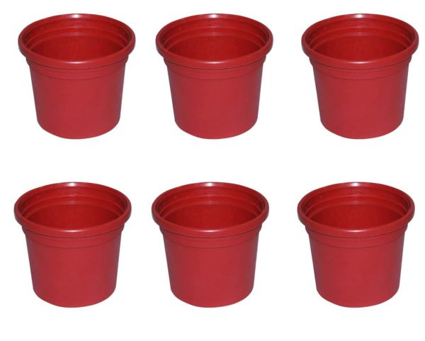 Pack of 6 Plastic flower pots for flowers and plants growing outer dia 6 inch, height 5 inch - Image 2