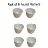 Pack of 6 Round Medium Lining Planter 4.5 x 4.5 inch-White