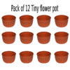 Pack of 12 Tiny flower pot for seeds or atificial flowers Outer Dia 3.25 , Height: 3 inch