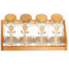 4 Pieces Glass Spices Jars Set With Wood Spoon and Wood Stand