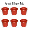 Pack of 6 Medium 7 inch flower pots for flowers and plants growing outer dia 7 inch, height: 6 inch