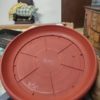 Pack of 8 Terra Cotta Round Plant Saucer Drip Trays Garden Pot Base 16 inch - Image 6