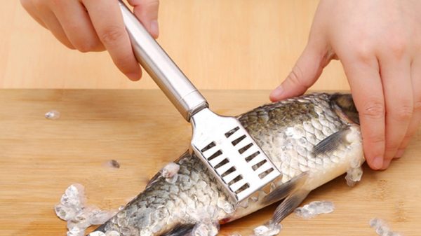 Fish Scale Scraper, Stainless Steel Fish Scale Remover Peeler - Image 6