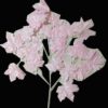 Artificial Pink leaf Maple Leaf for Decoration