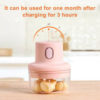 Electric Chopper 100ml+250ml Rechargeable Vegetable Fruit Mincer Blender - Image 5