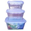 3 Pieces - Buckled Lid Plastic Freezer Boxes