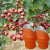 Thumb picker Silicone Thumb Cutter Separator Finger Tools Picking Device for Garden Harvesting Plant Gardening - Image 2