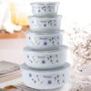 Food Storage Container / 5 pcs / Plastic Lids Included