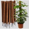 Coconut Plant Stick - 3Ft Pack of 4 Root Bridges Coco Moss Stick Pole Plant Straightener