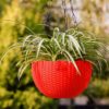 Pack of 5 Go Hooked Multicolor Round Rattan Woven Plastic Flower Hanging Planter/Beautiful Round Gamla Pot/Flower Hanging Pot for Garden Balcony (Multicolor - Image 3