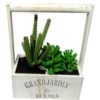 Decorative Bonsai Plants in Wooden Vase - Multicolor