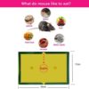 Reusable Disposable Mouse and Rat Glue Trap Paper Board - Image 2