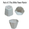 Pack of 3 Tiny White Flower Planter 3.5 x 3.5