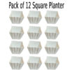Pack of 12 Square Tiny Lining Planter 3 x 3 inch