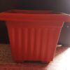 Pack of 6x 8 inch square pot decent design dia 8 inch, height 6 inch - Image 3