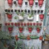 Pack of 6 Small Wall Hanging Pots For Indoor And Outdoor Plants - Image 3