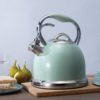 Tea Kettle Whistling Stainless Steel Kettle Metallic 2.5 Ltrs
