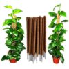 Coconut Plant Stick - 3Ft Pack of 4 Root Bridges Coco Moss Stick Pole Plant Straightener - Image 5