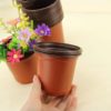 Seeds Planters pack of 12