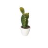 Artificial Cactus Bonsai Plants in White Planter - Image 2