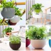 Pack of 5 Go Hooked Multicolor Round Rattan Woven Plastic Flower Hanging Planter/Beautiful Round Gamla Pot/Flower Hanging Pot for Garden Balcony (Multicolor - Image 5