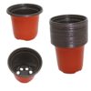 Seeds Planters pack of 12 - Image 3